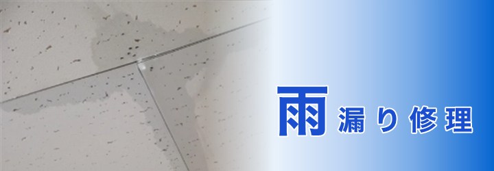 雨漏り修理
